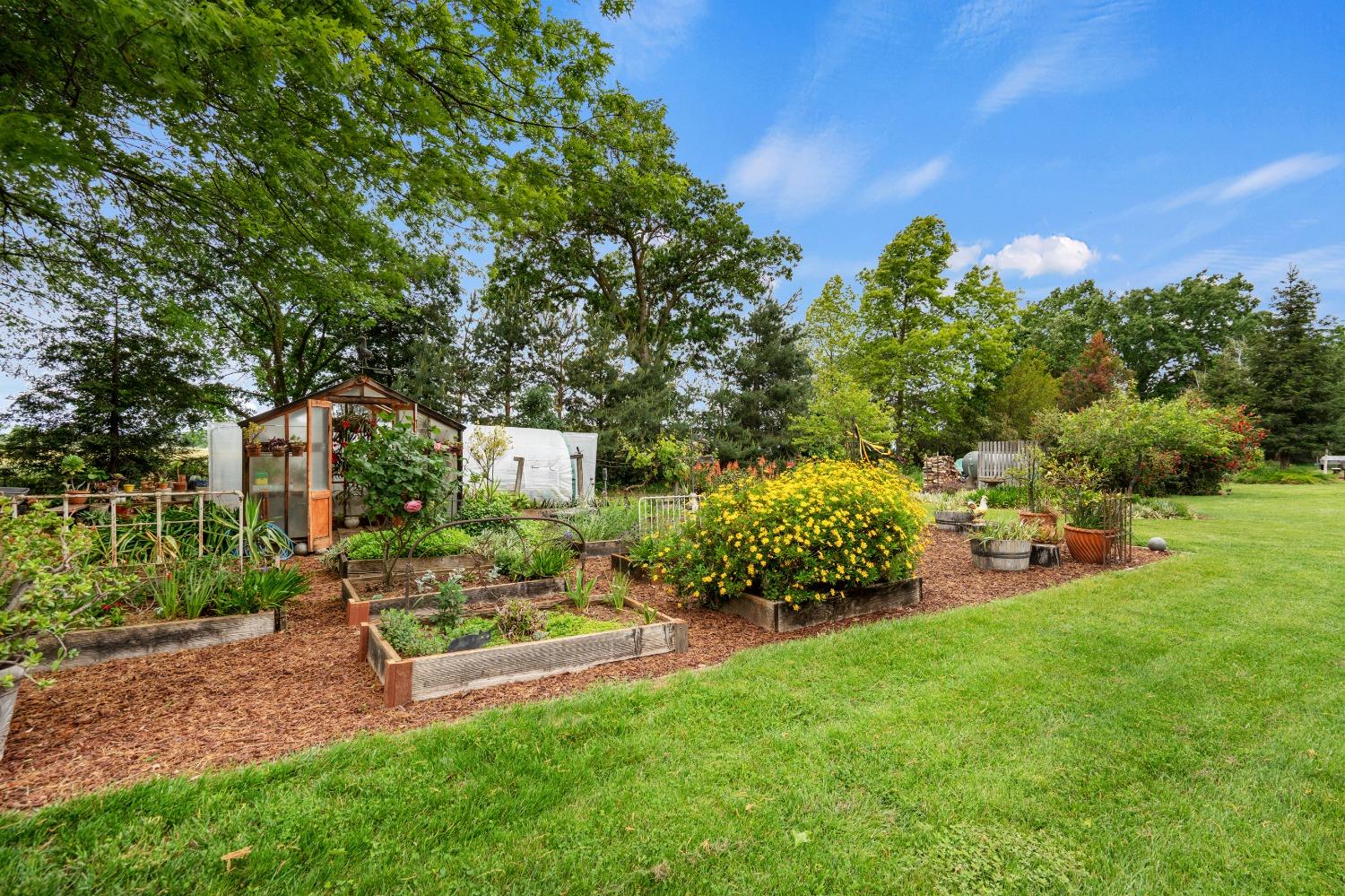 Detail Gallery Image 99 of 99 For 11516 Badger Valley Rd, Wilton,  CA 95693 - 4 Beds | 2/1 Baths