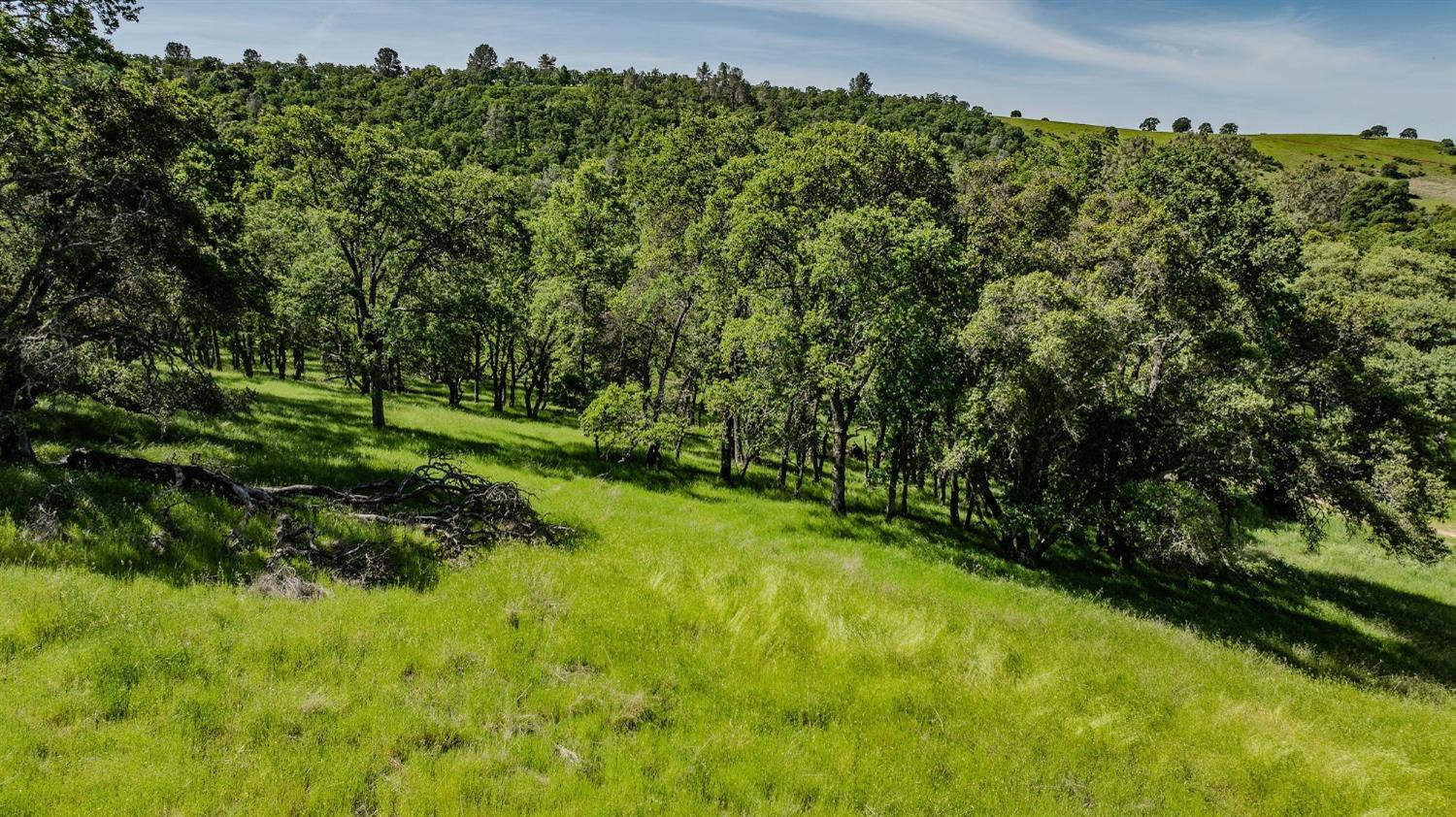 Sunset Drive, Sutter Creek, California image 7