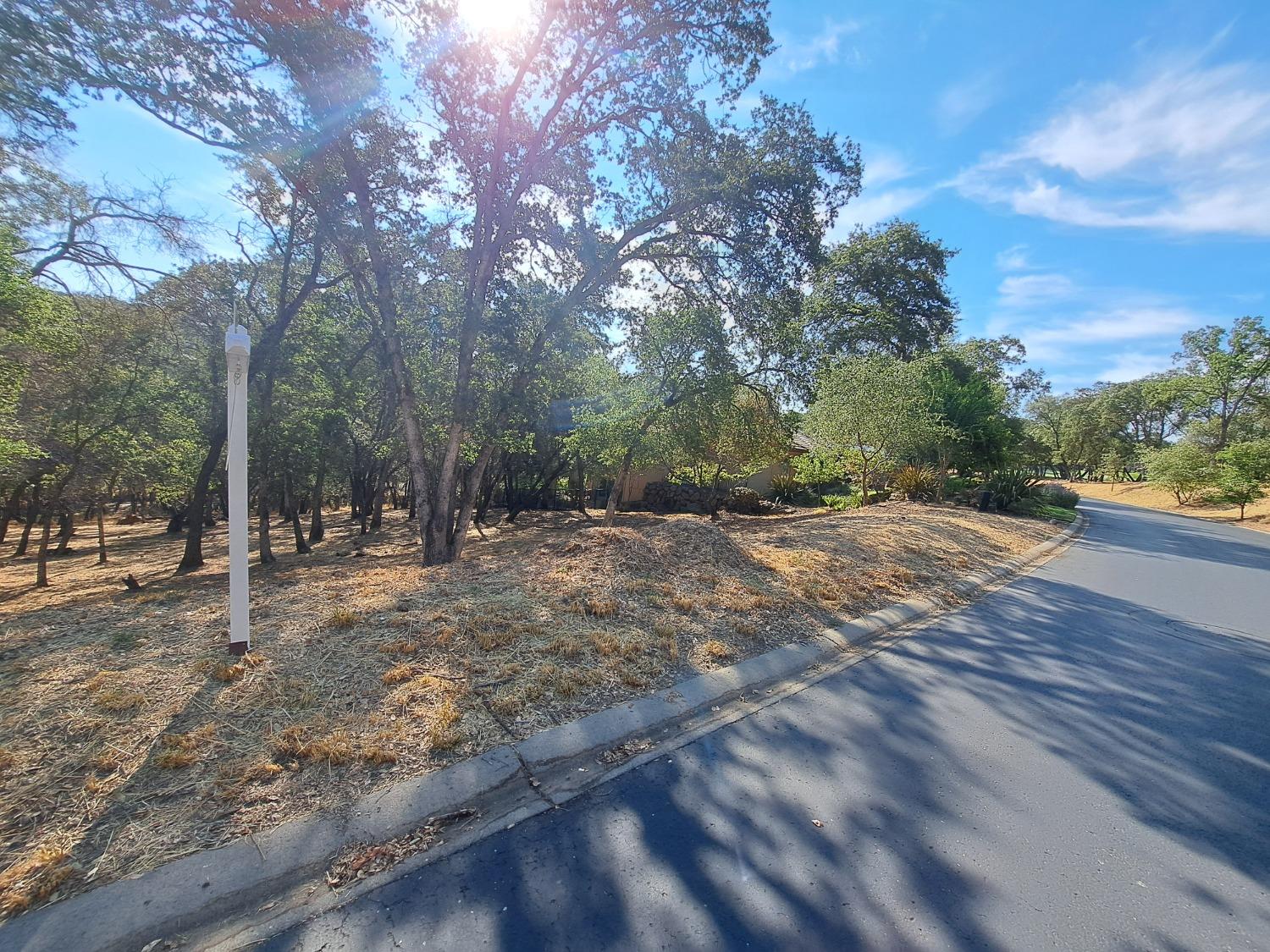 Aldea Drive, El Dorado Hills, California image 1