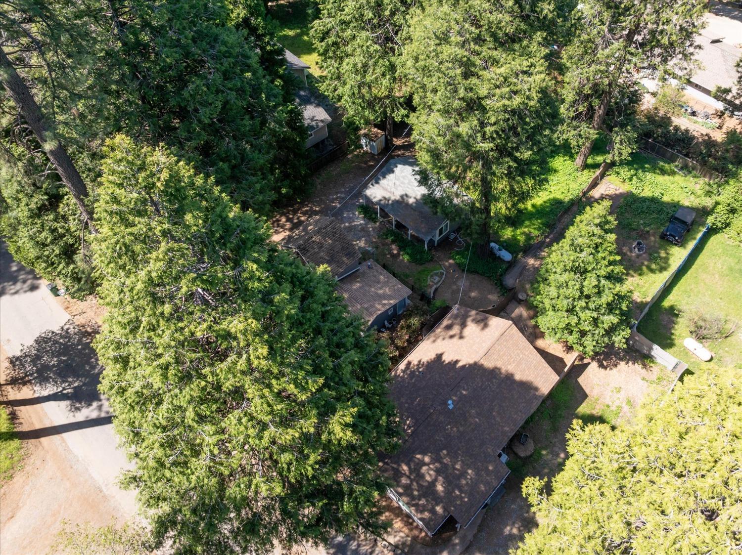 Alder Drive, Camino, California image 31