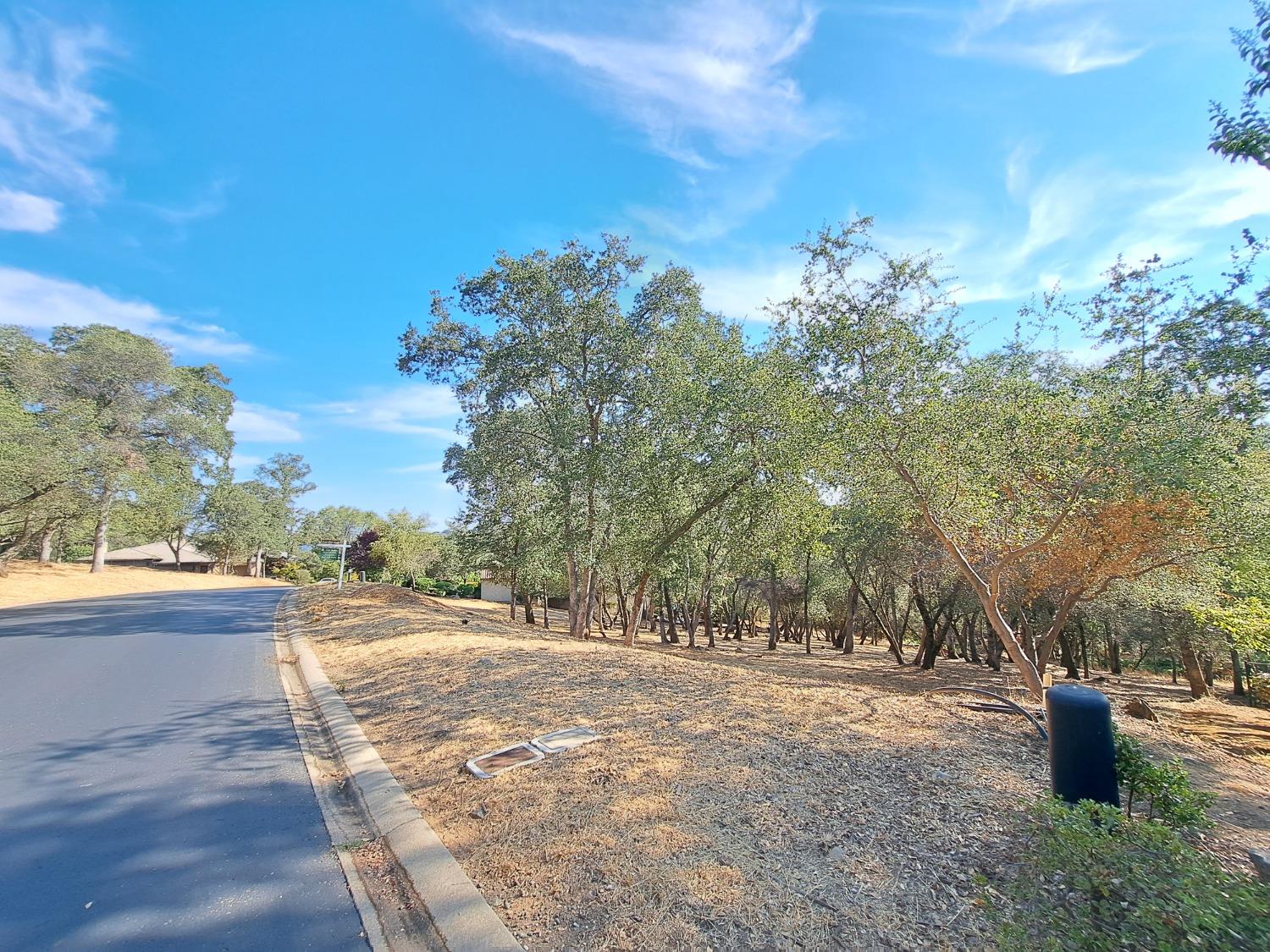 Aldea Drive, El Dorado Hills, California image 2