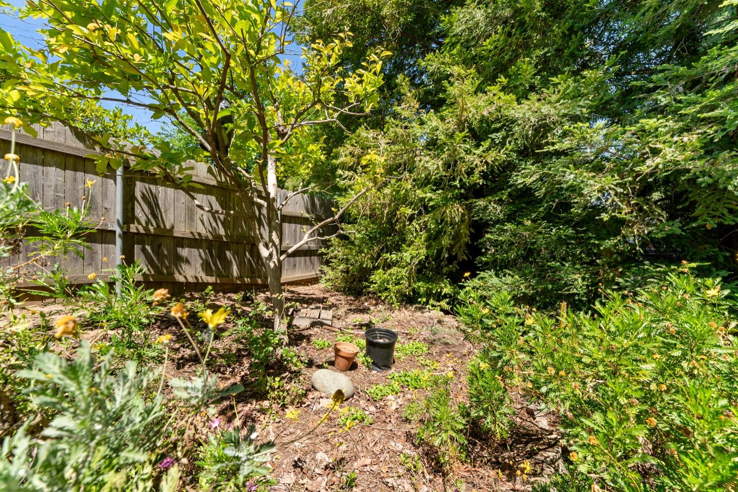 Detail Gallery Image 44 of 66 For 9512 Central Ave, Orangevale,  CA 95662 - 3 Beds | 2 Baths