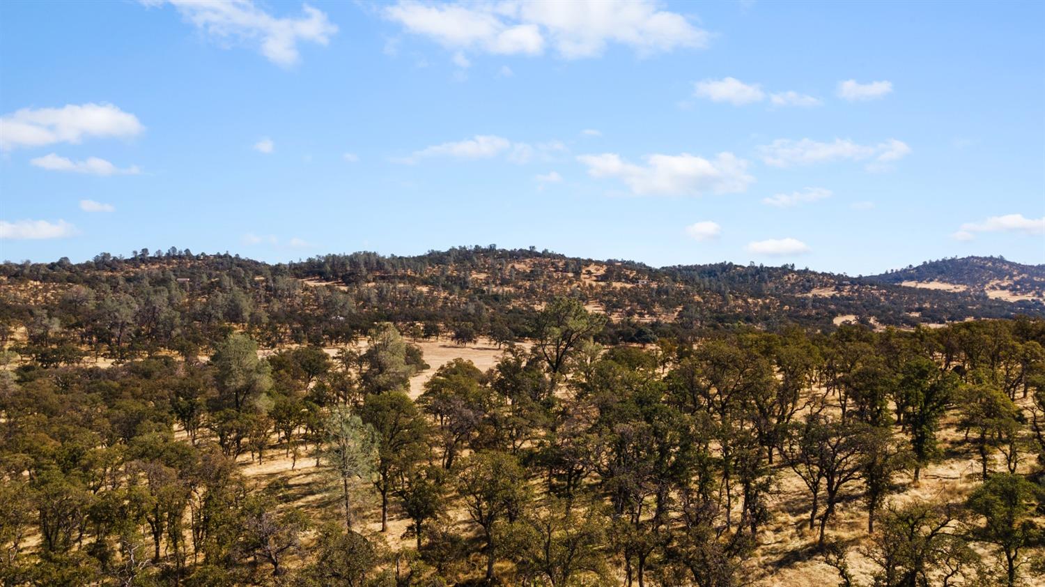 Hammonton Bluff Parcel 8, Smartsville, California image 7