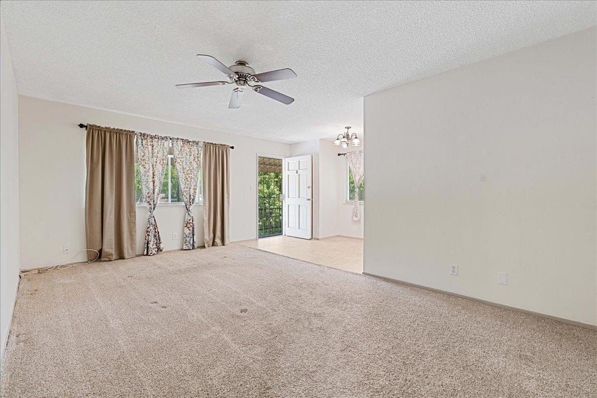 Photo #13: 225055774 Listing: Photo #13