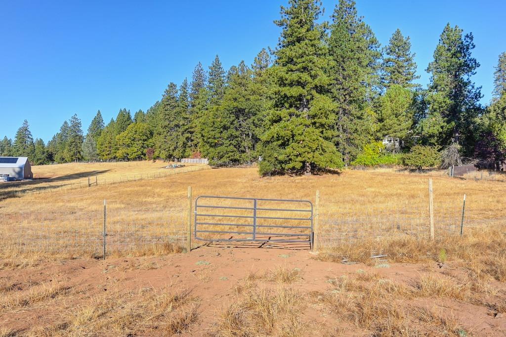 Shake Ridge Road, Volcano, California image 26