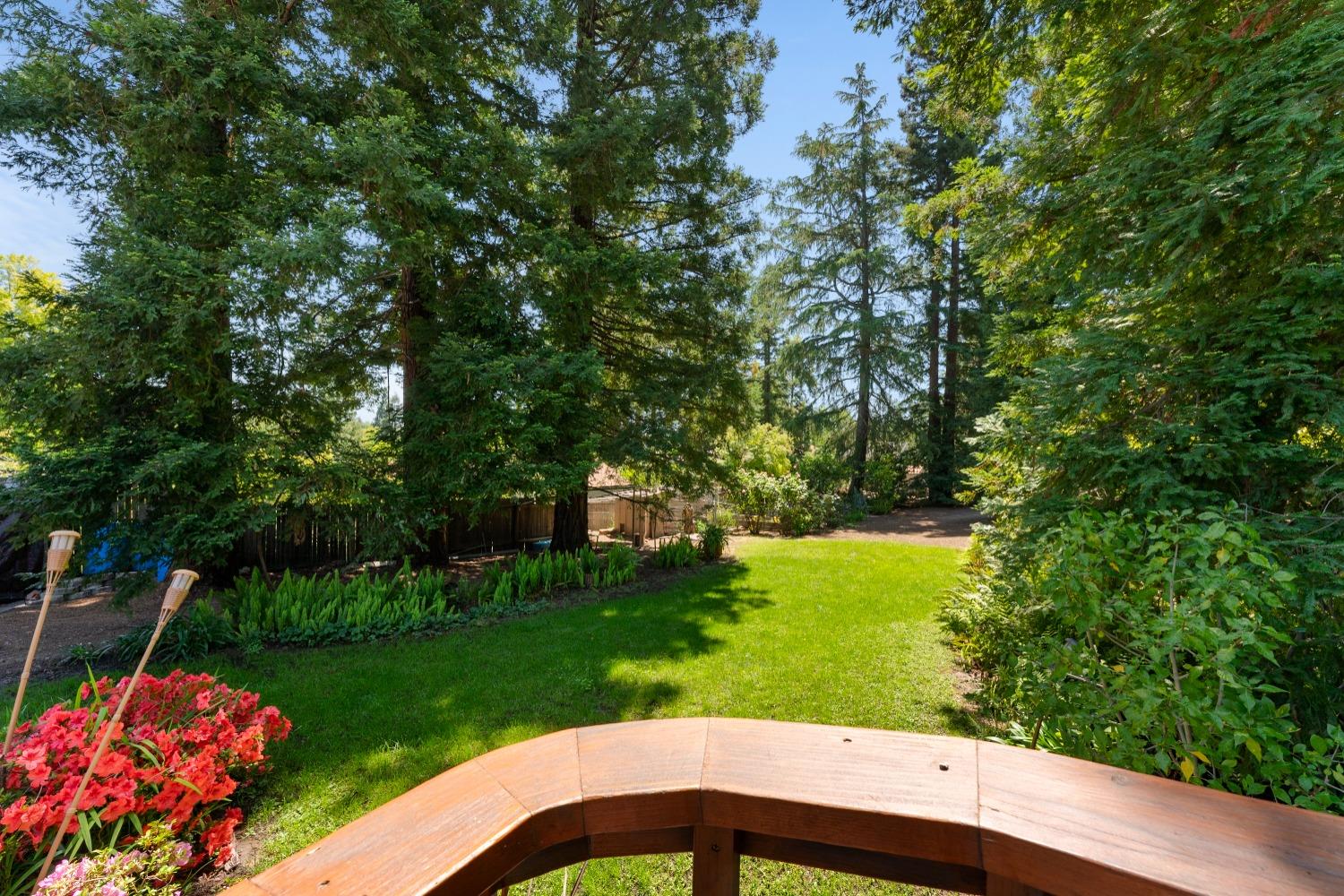 Detail Gallery Image 34 of 66 For 9512 Central Ave, Orangevale,  CA 95662 - 3 Beds | 2 Baths