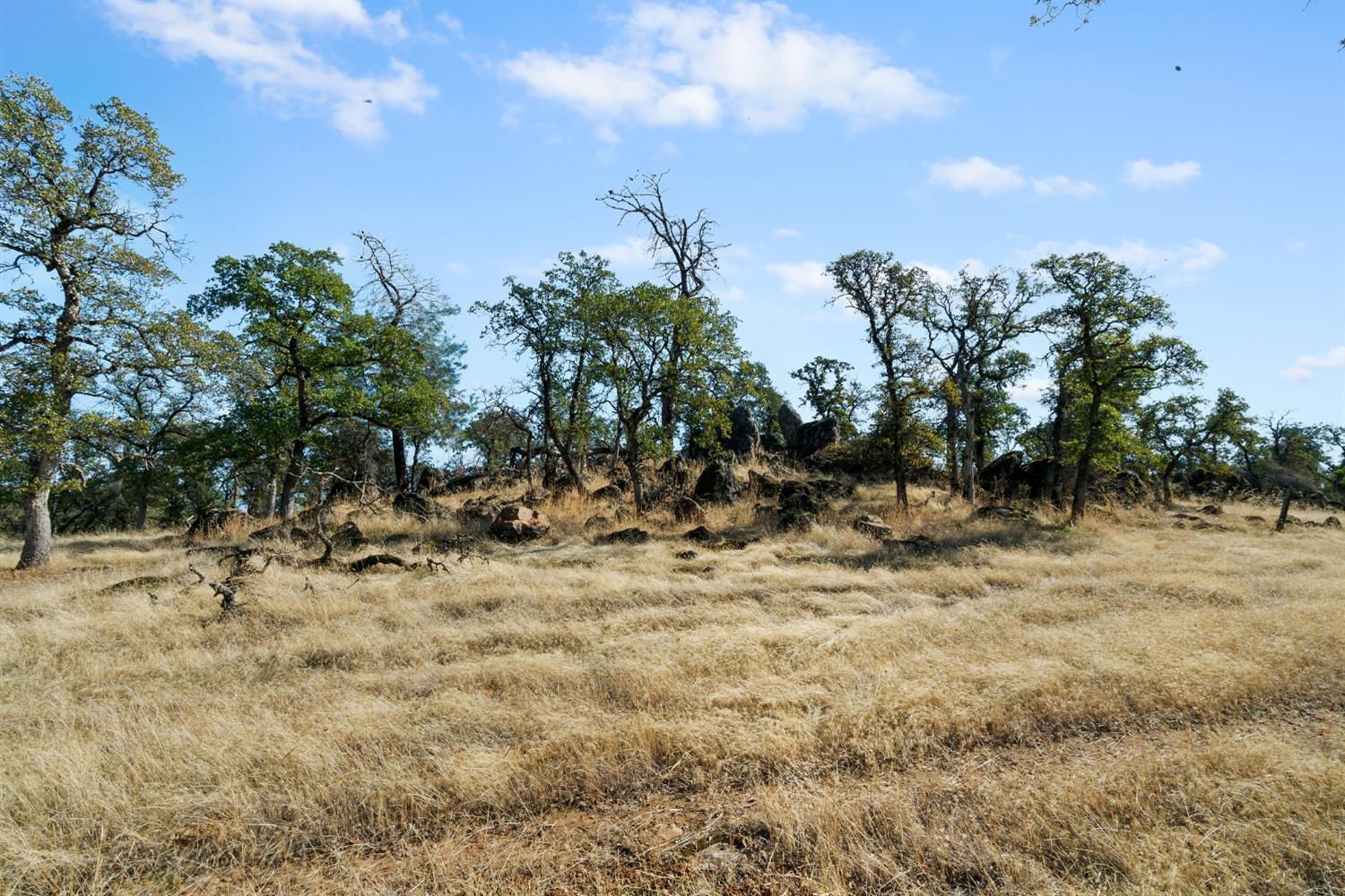 Hammonton Bluff Parcel 8, Smartsville, California image 39