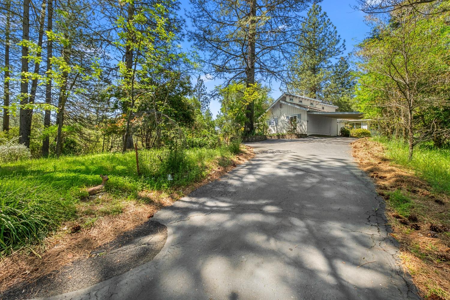 Detail Gallery Image 11 of 79 For 16080 Mount Whitney Dr, Fiddletown,  CA 95629 - 3 Beds | 2 Baths