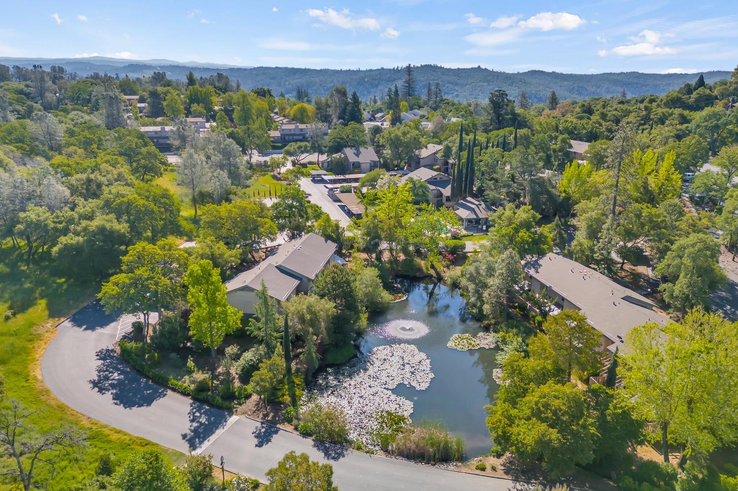 Lincoln Way #D, Auburn, California image 38