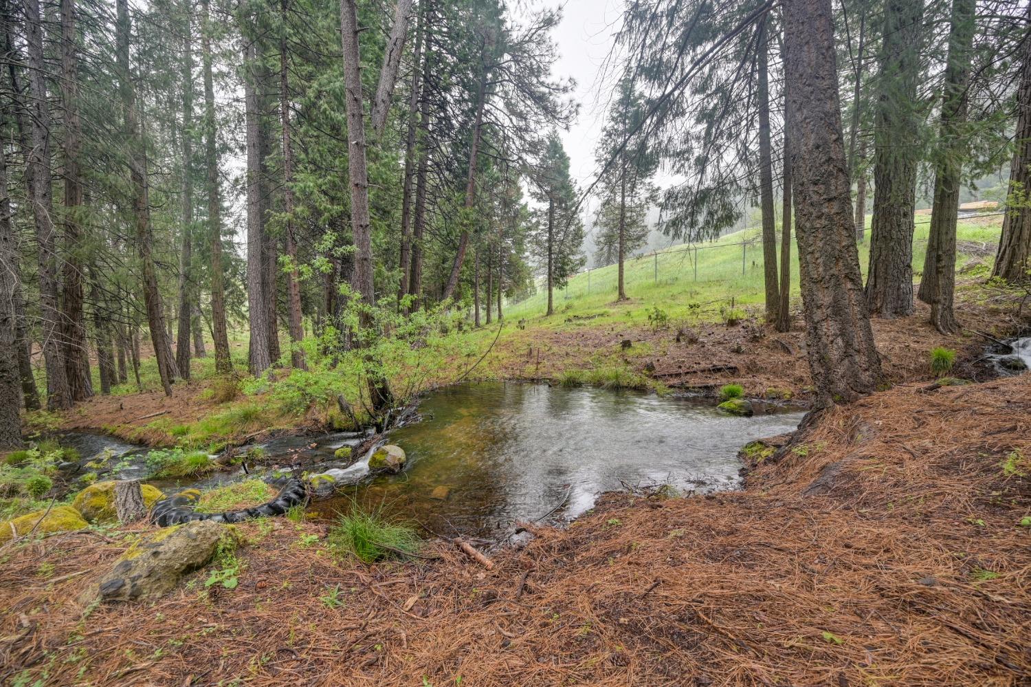 Detail Gallery Image 55 of 58 For 5191 Sierra Springs Dr, Pollock Pines,  CA 95726 - 2 Beds | 1 Baths