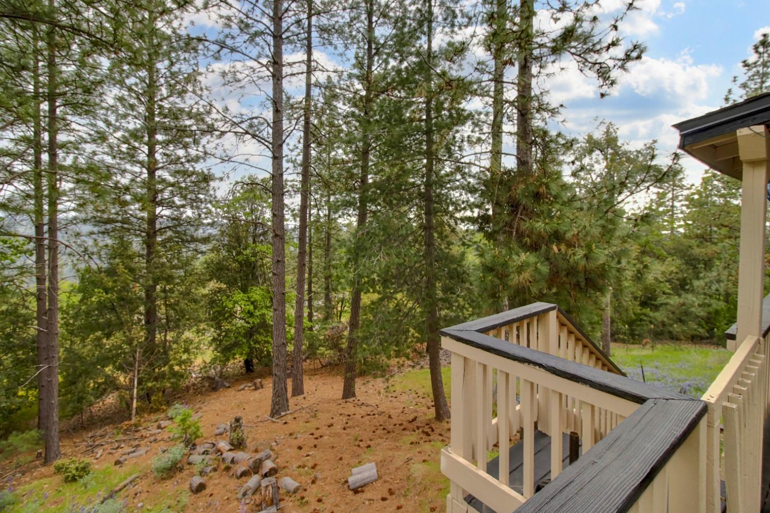 Hilltop Court, Pine Grove, California image 32