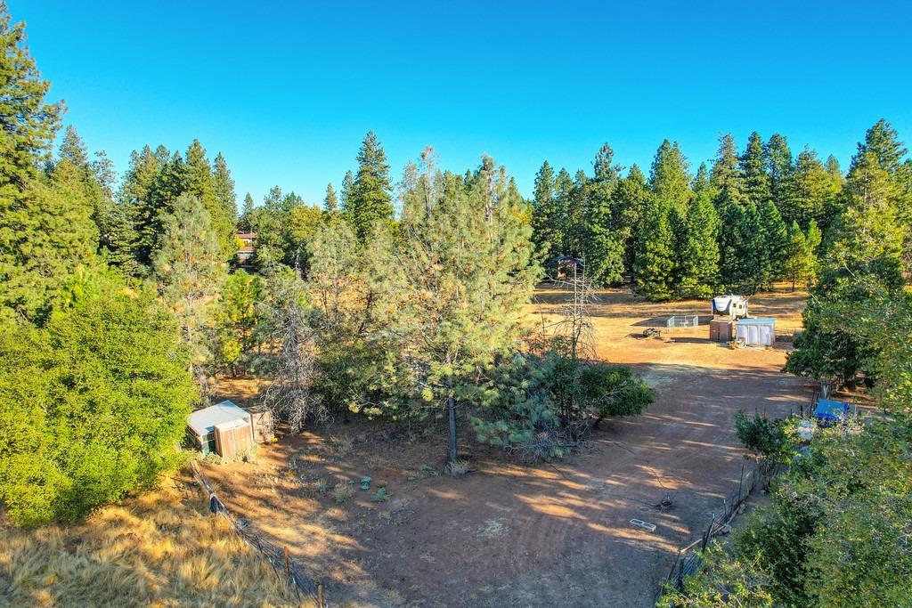 Shake Ridge Road, Volcano, California image 9