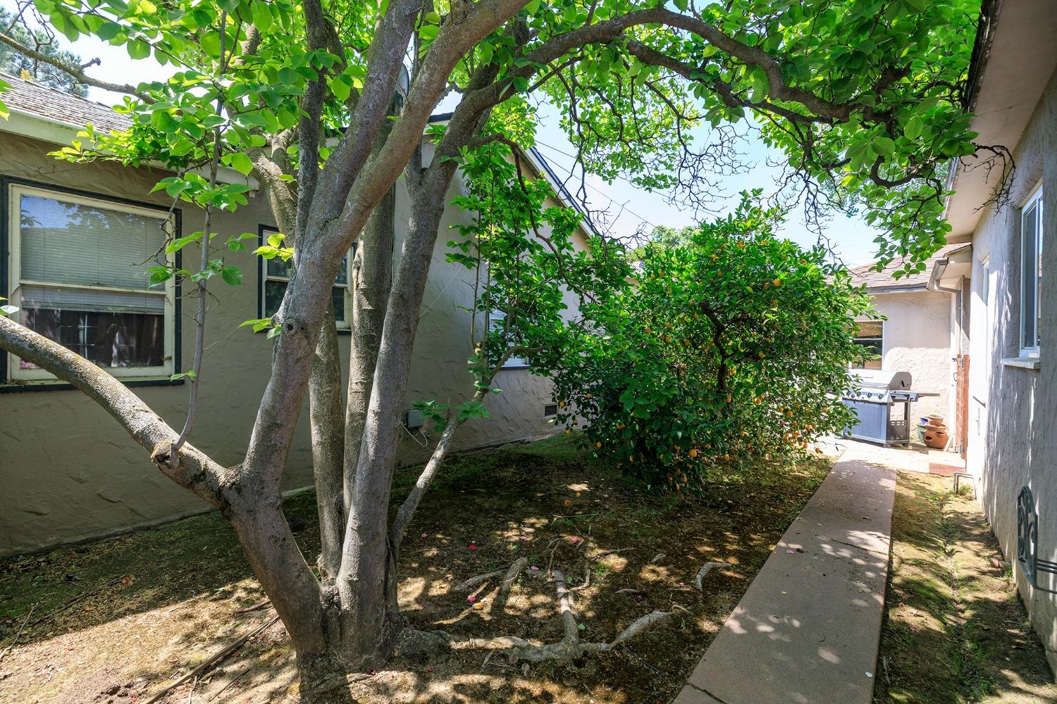 N Santa Ana Avenue, Modesto, California image 32