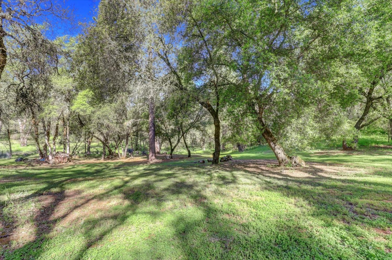 Detail Gallery Image 79 of 99 For 14508 Arrow Rd, Penn Valley,  CA 95946 - 3 Beds | 3/1 Baths