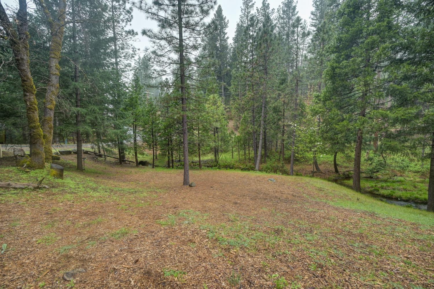 Sierra Springs Drive, Pollock Pines, California image 45