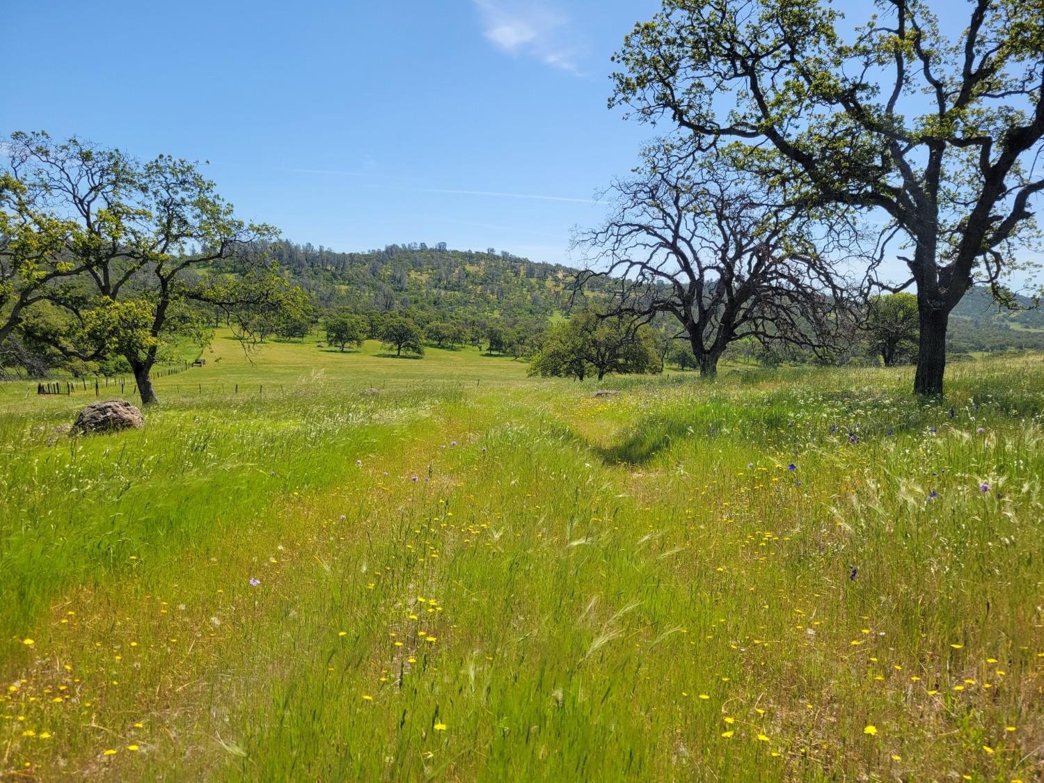 Hammonton Bluff Parcel 8, Smartsville, California image 1