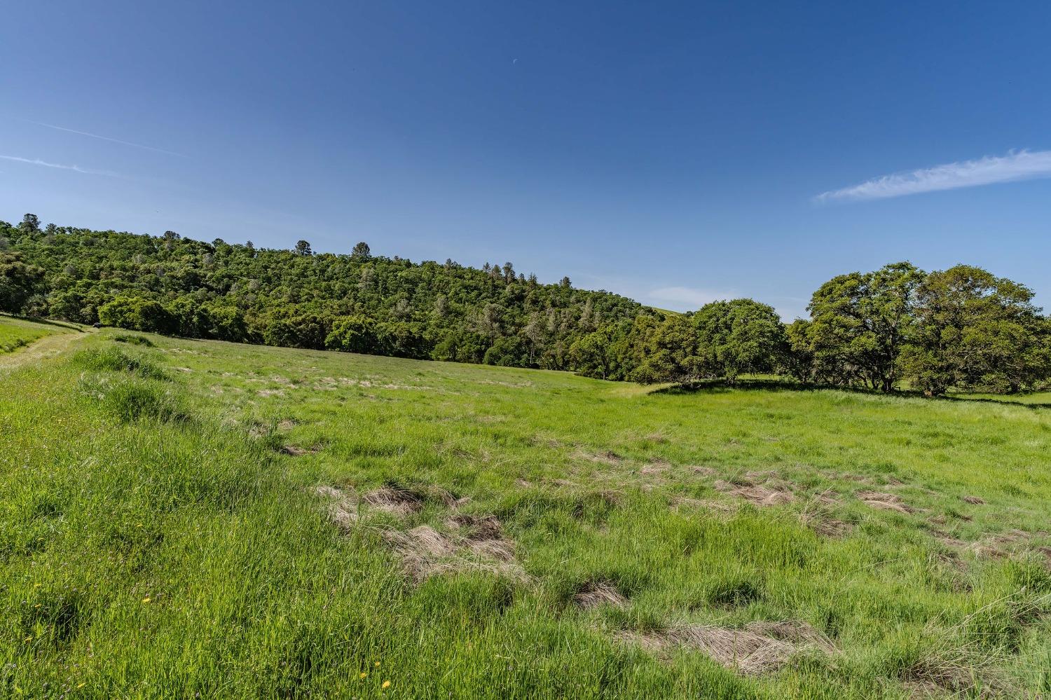 Sunset Drive, Sutter Creek, California image 5