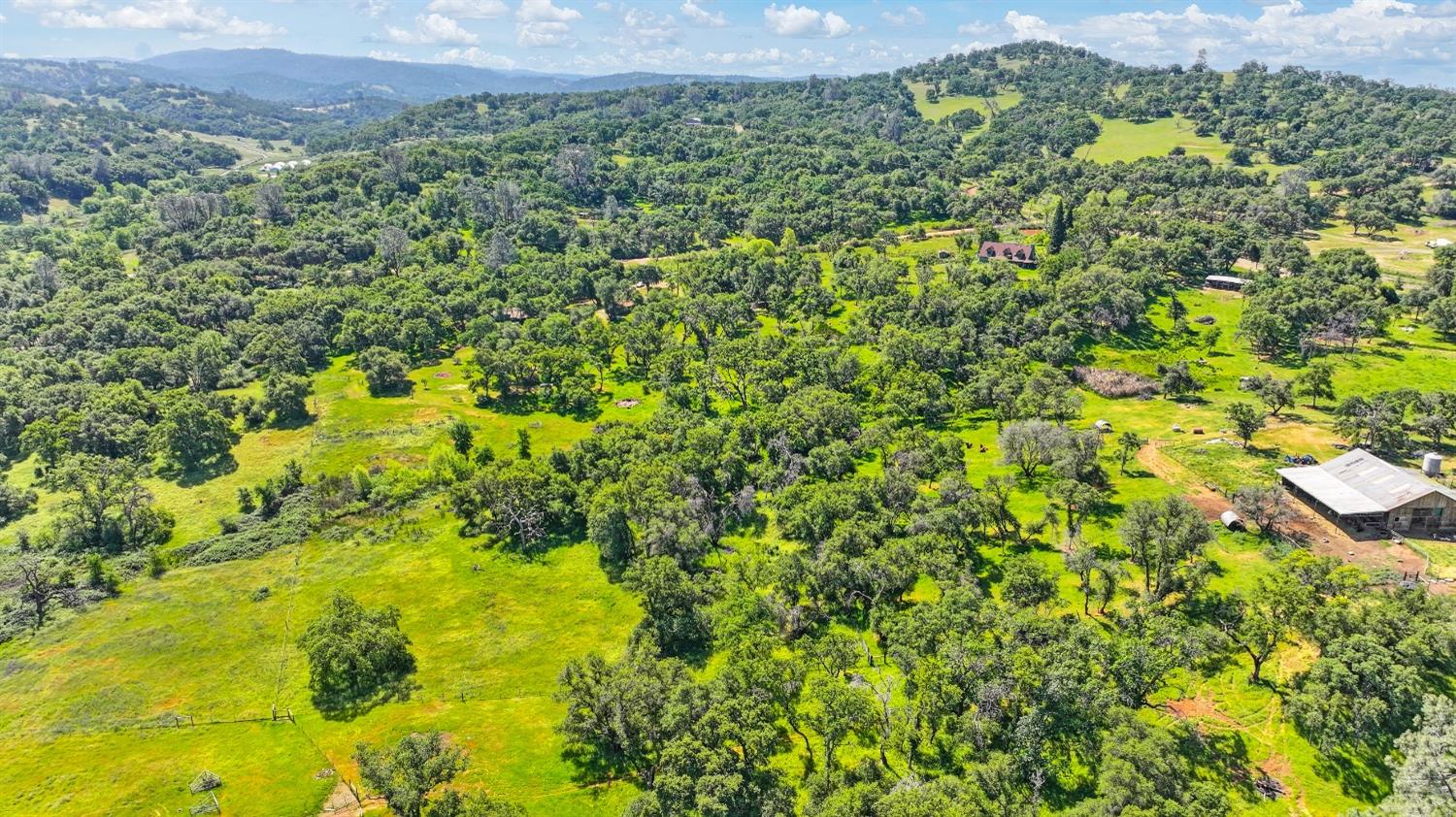 Perimeter Road, Grass Valley, California image 50