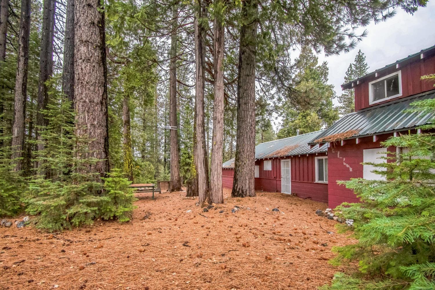 Warren Hill Road, Strawberry Valley, California image 4