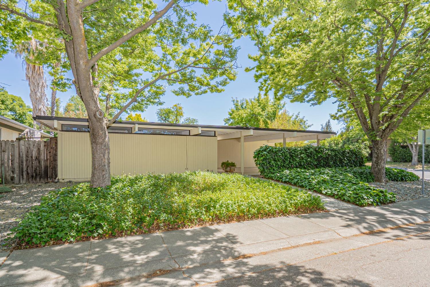 Pine Lane, Davis, California image 2