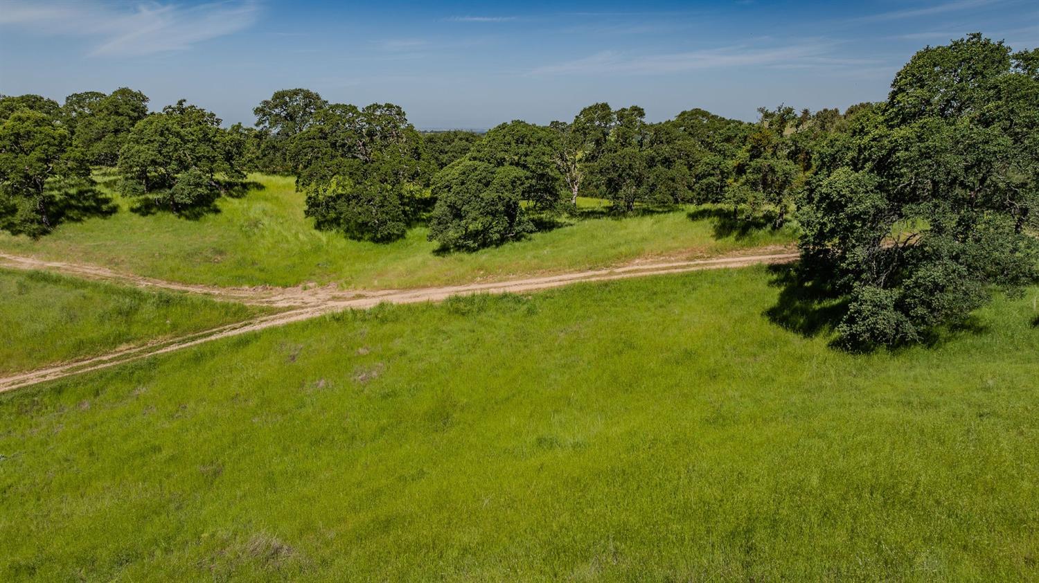 Sunset Drive, Sutter Creek, California image 25