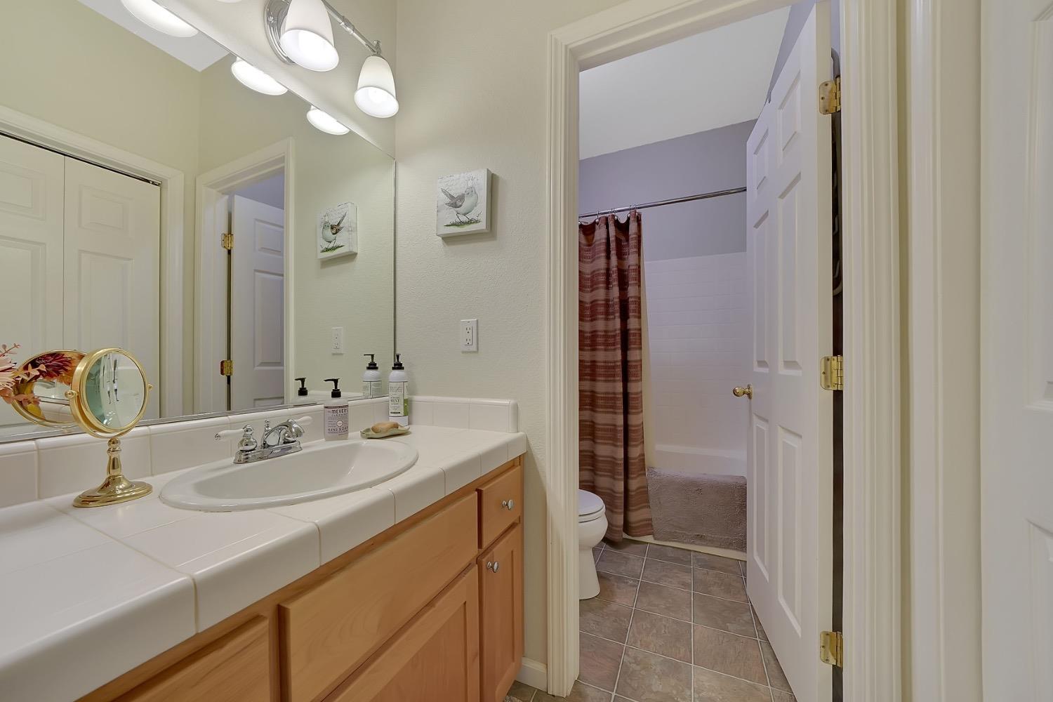 Detail Gallery Image 52 of 88 For 18860 Sylvia Dr, Pine Grove,  CA 95665 - 3 Beds | 2/1 Baths