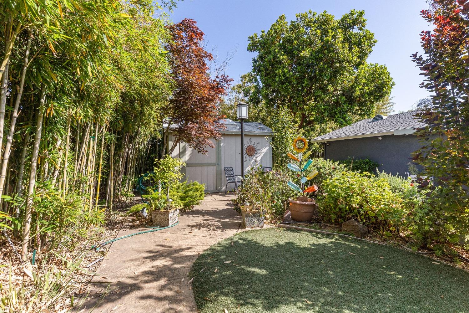 Butternut Drive, Citrus Heights, California image 24