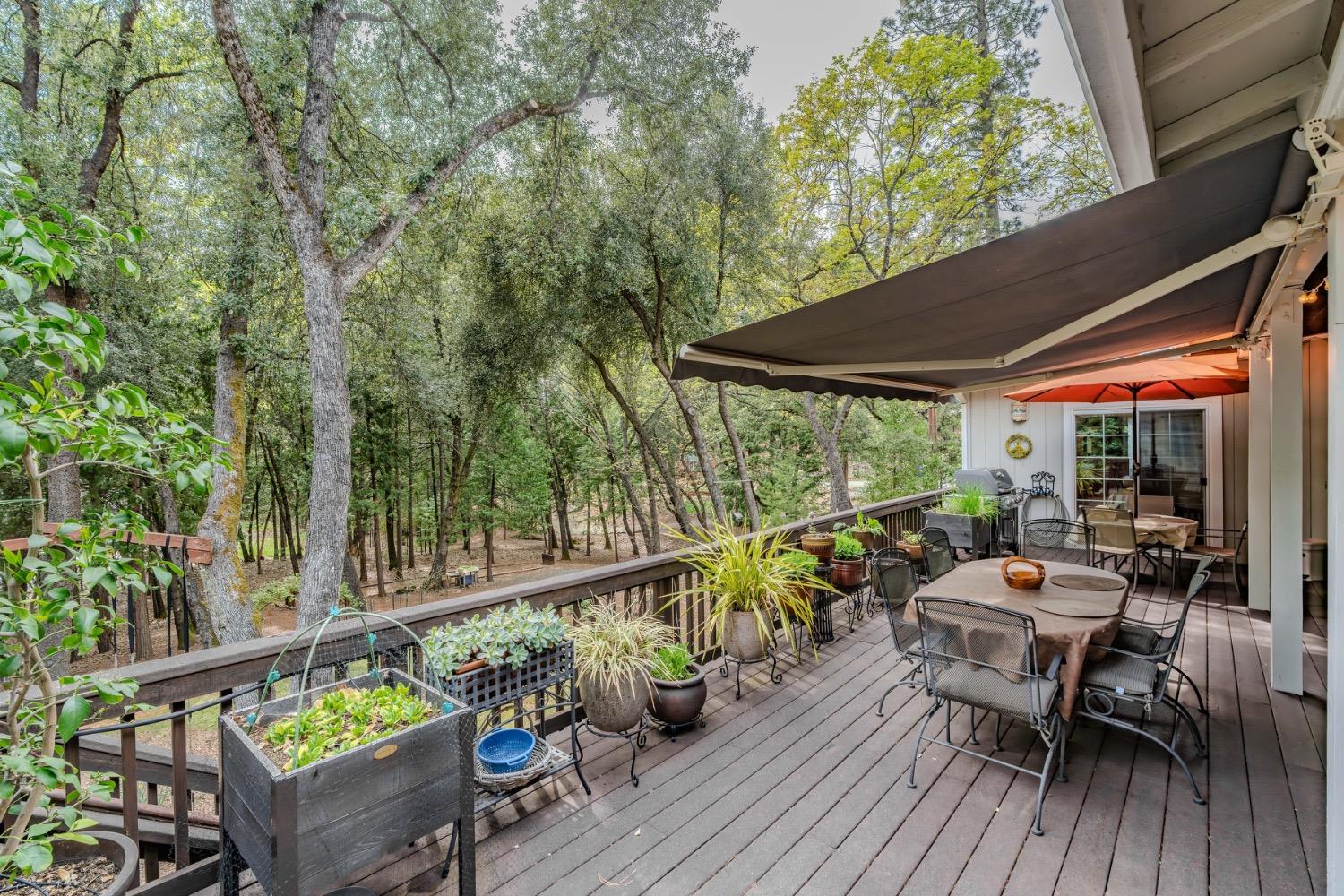 Detail Gallery Image 61 of 88 For 18860 Sylvia Dr, Pine Grove,  CA 95665 - 3 Beds | 2/1 Baths