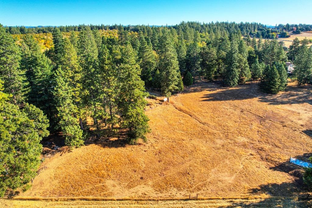 Shake Ridge Road, Volcano, California image 3