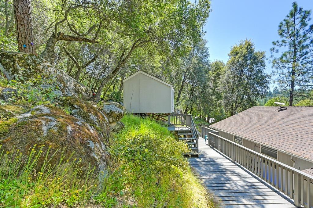 Pigeon Trail, River Pines, California image 46