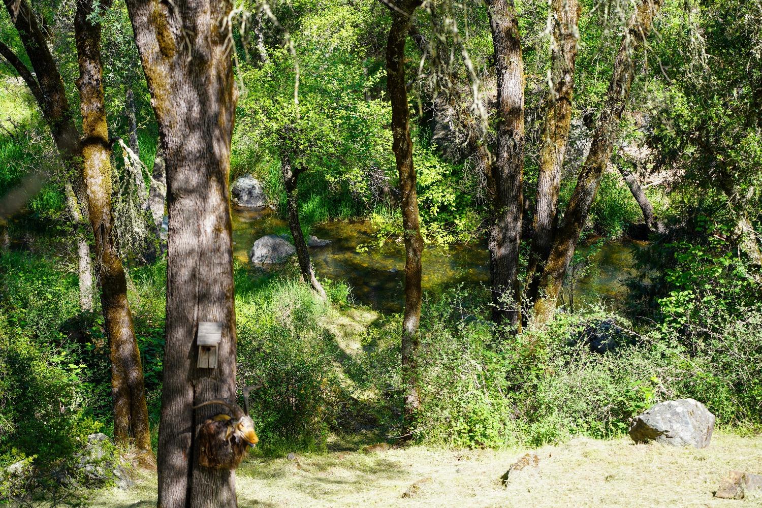 Tom Ray Dr, Grass Valley, California image 42
