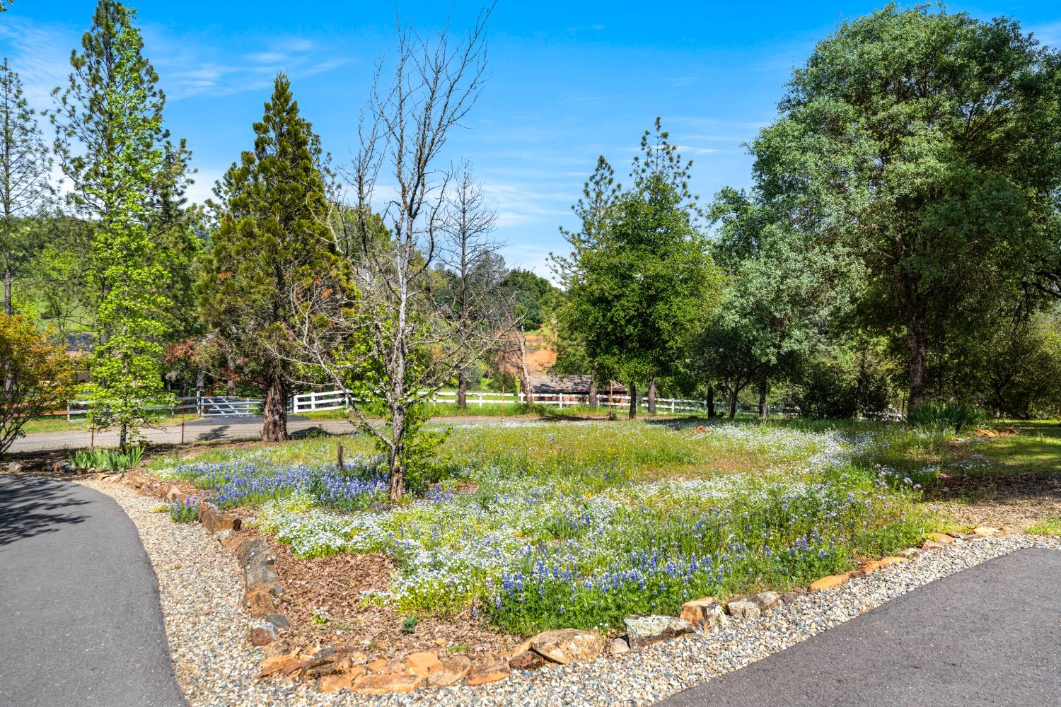 Studebaker Road, Placerville, California image 3