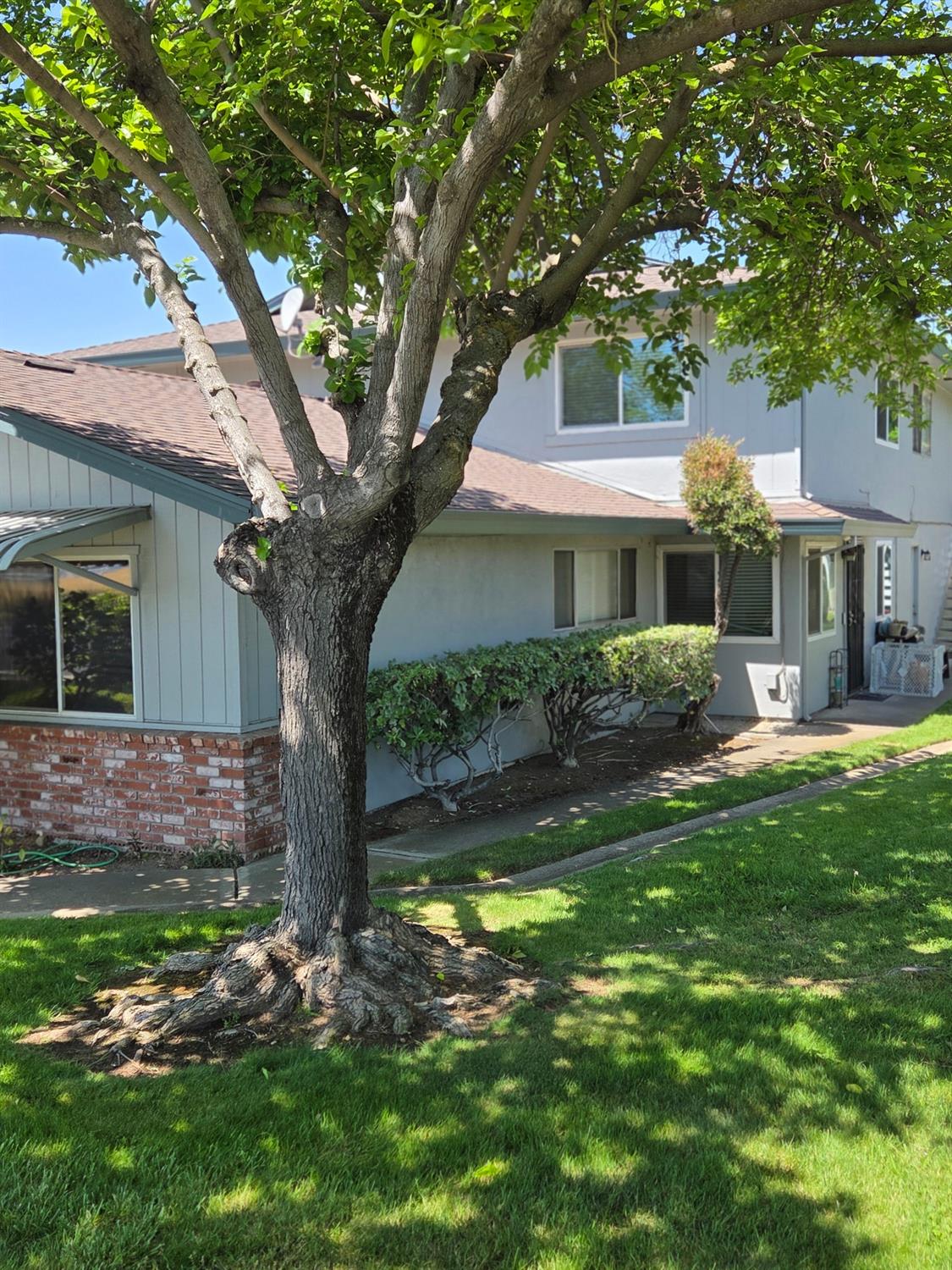 Photo #2: 225056710 Listing 