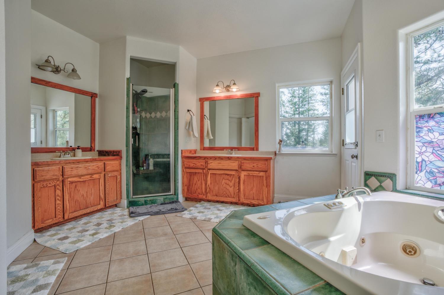 Birchwood Drive, Foresthill, California image 20