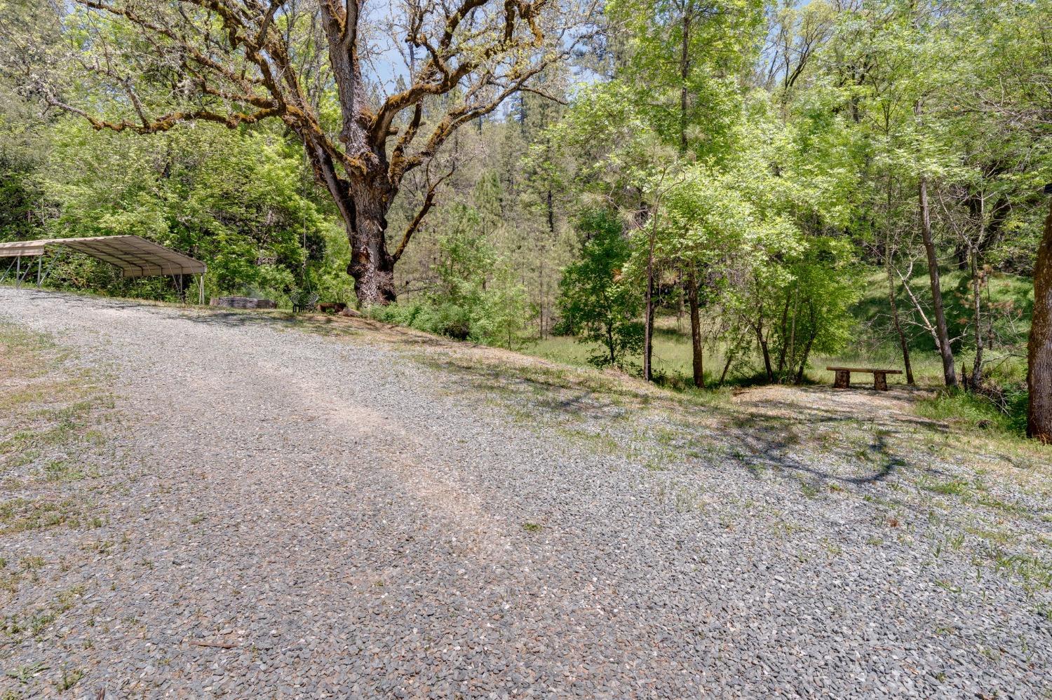 Laurel Canyon Road, Sutter Creek, California image 33