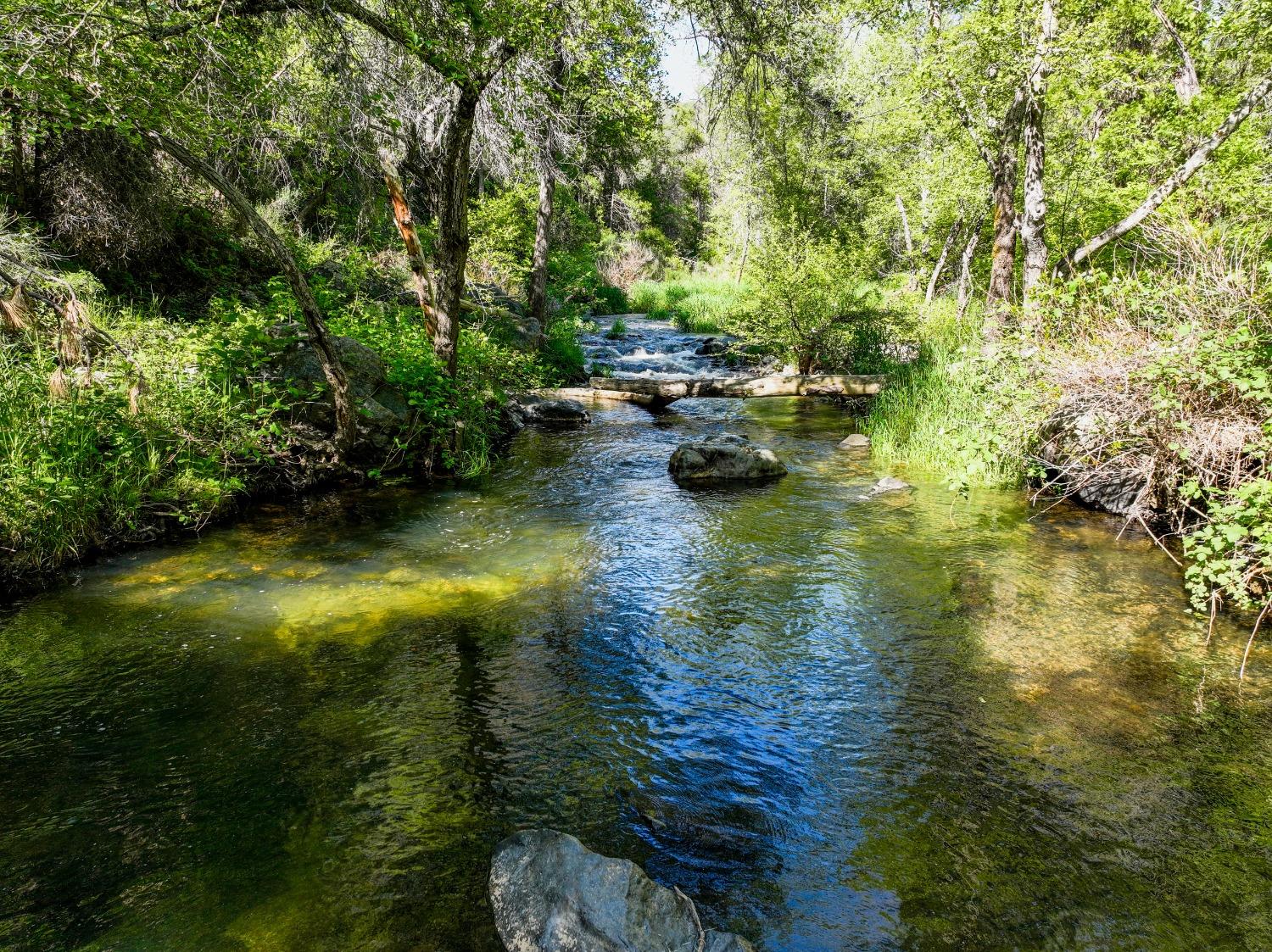 Tom Ray Dr, Grass Valley, California image 34