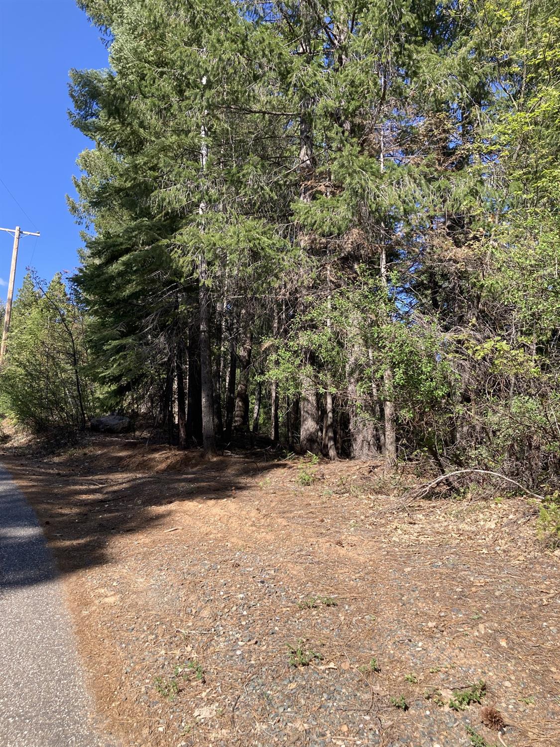Sugar Pine Road, Alta, California image 16