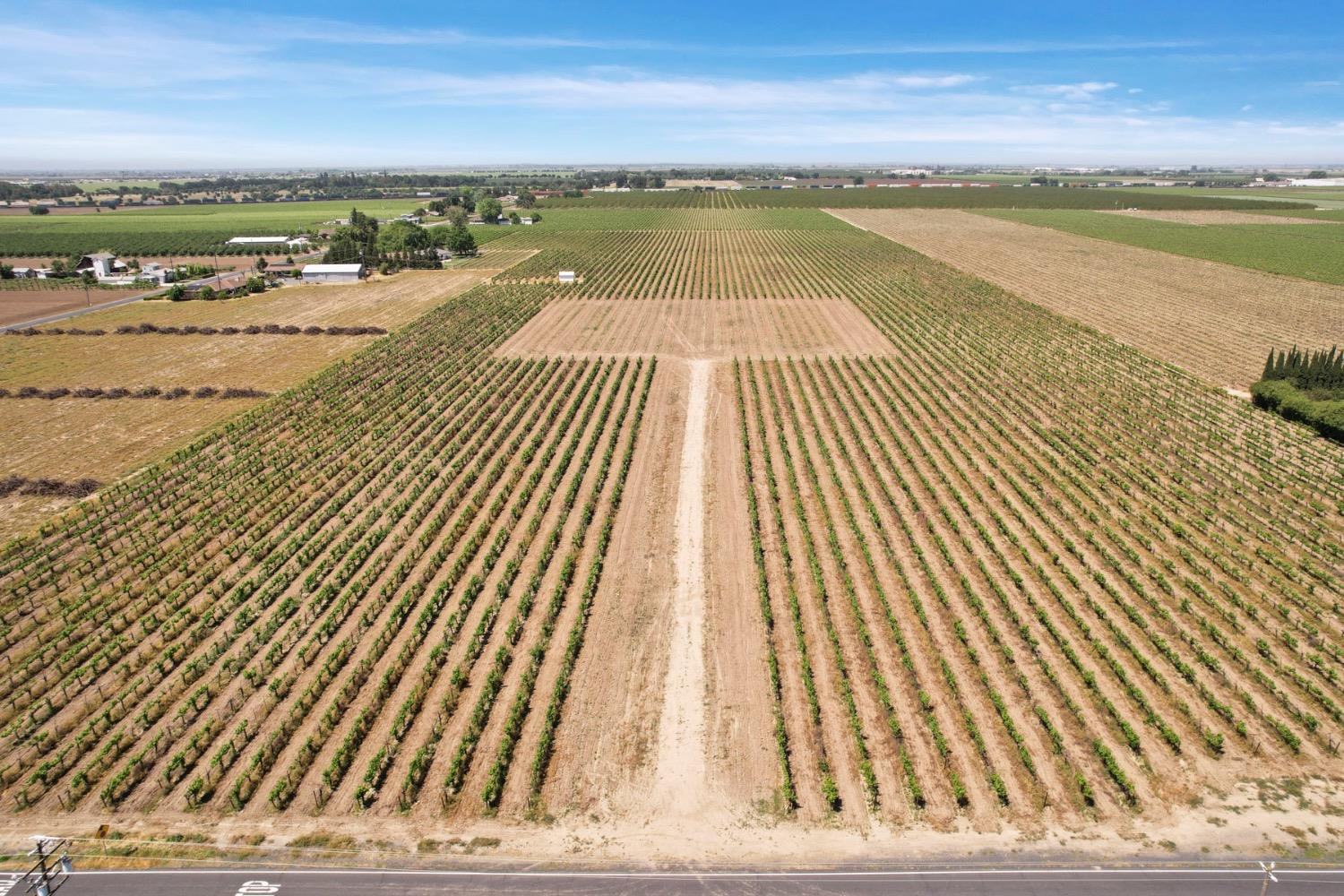 Devries, Lodi, California image 1