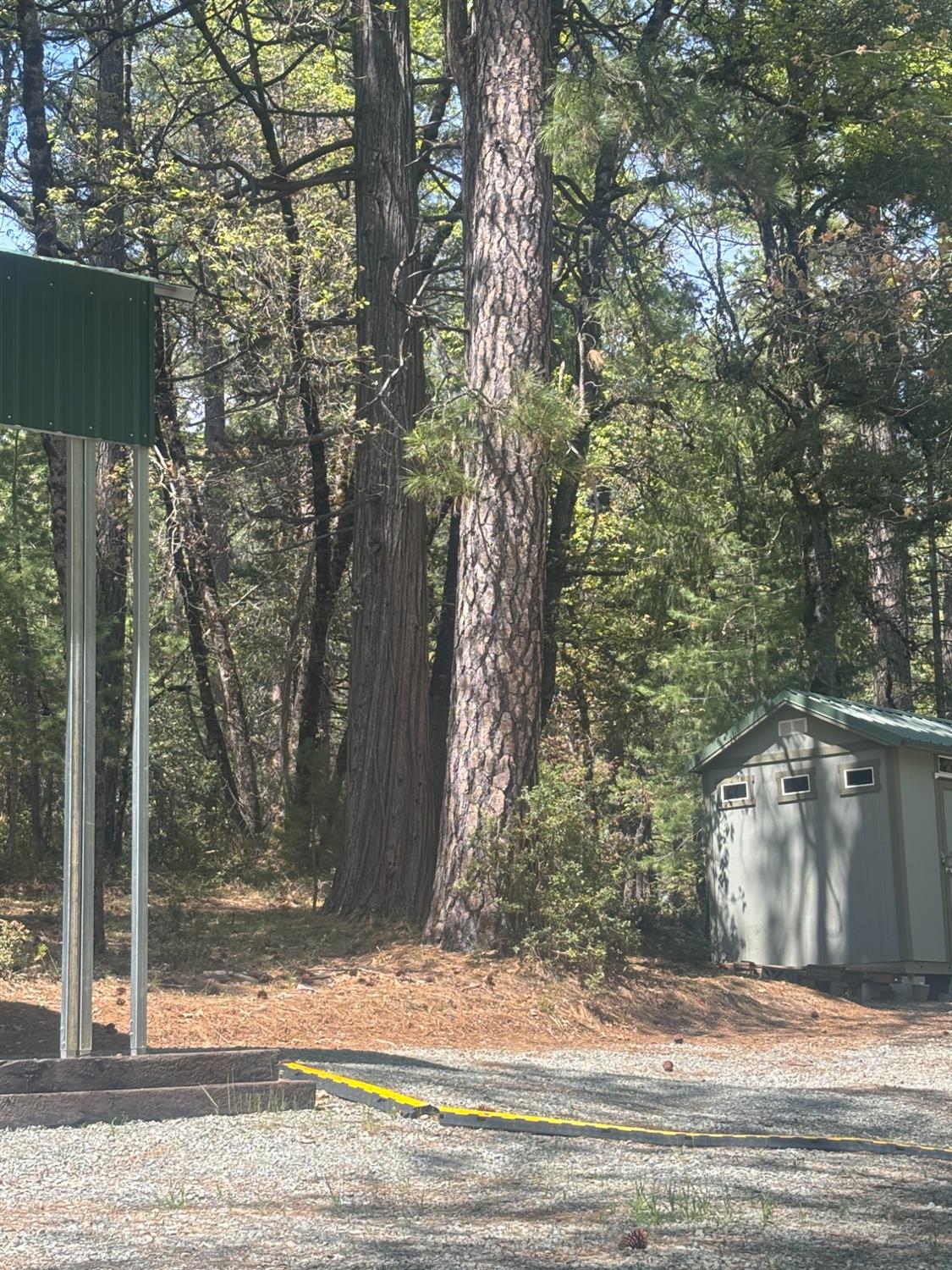 Blue Tent School Road, Nevada City, California image 14