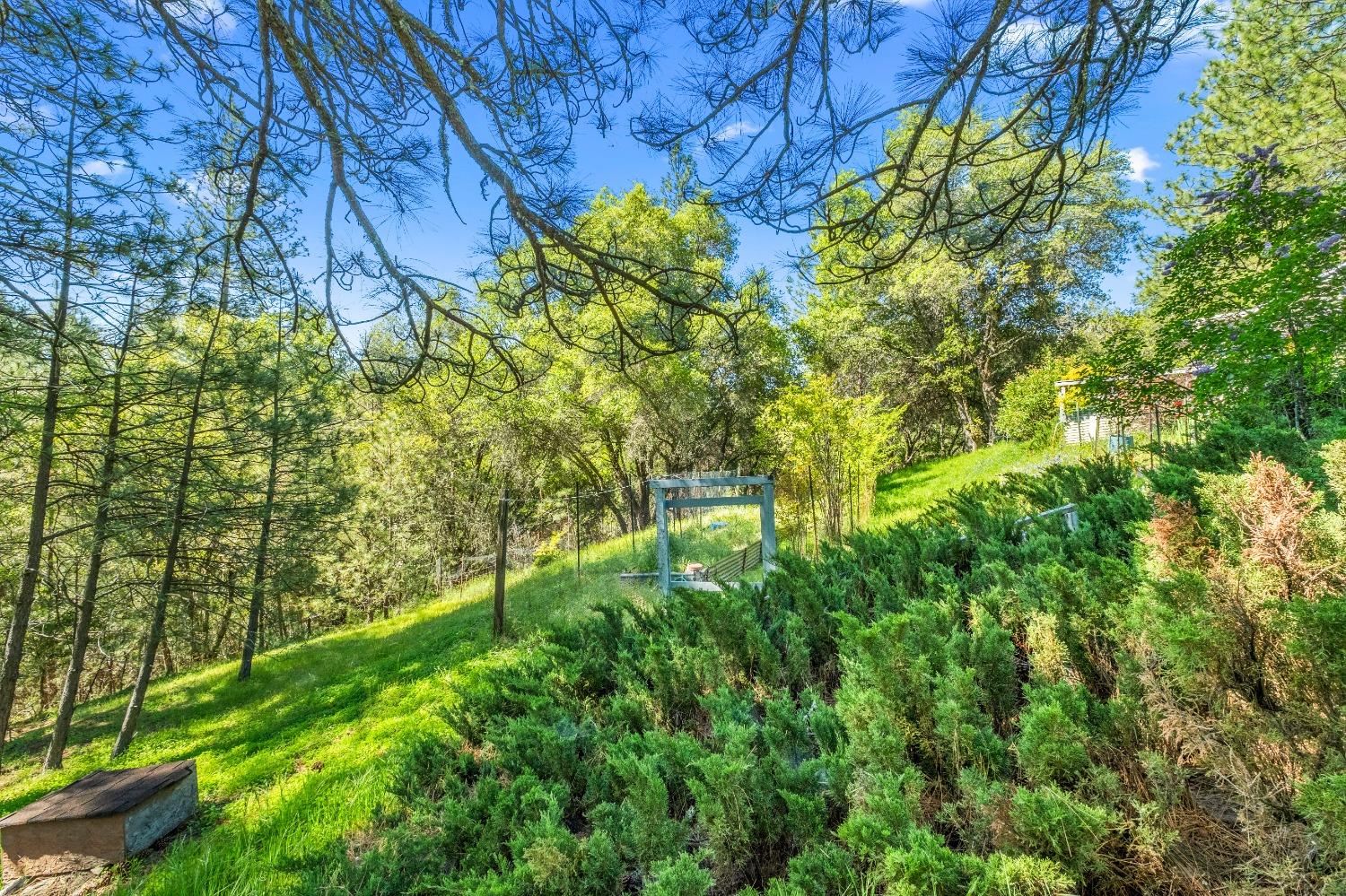 Detail Gallery Image 64 of 79 For 16080 Mount Whitney Dr, Fiddletown,  CA 95629 - 3 Beds | 2 Baths