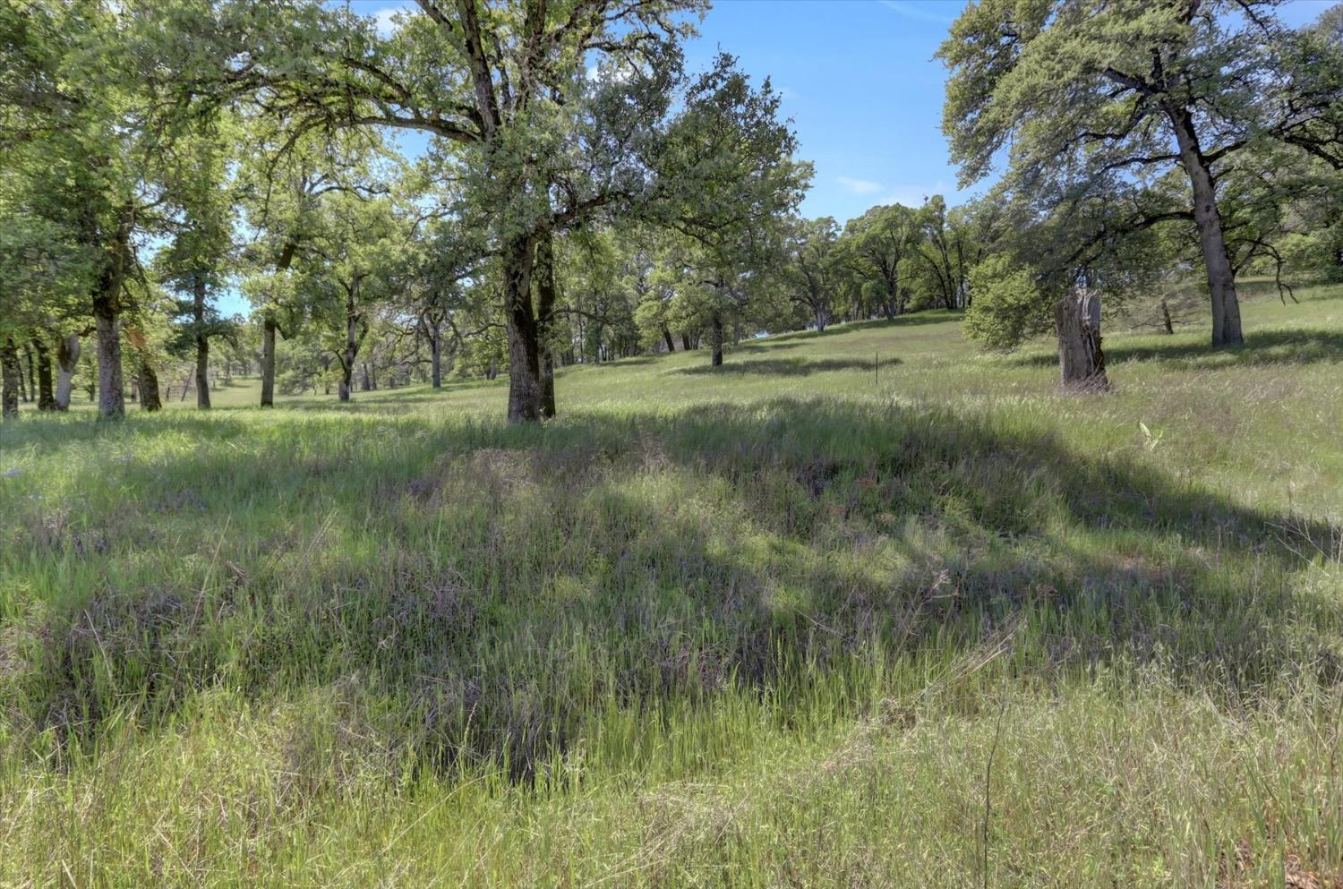 Retherford Road, Grass Valley, California image 28