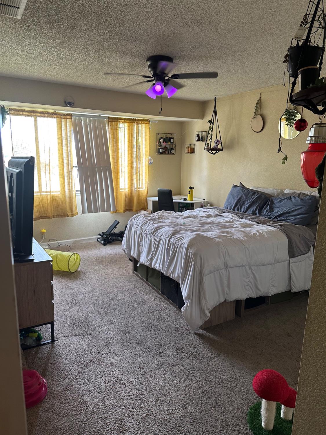 Hurley Way #12, Sacramento, California image 11