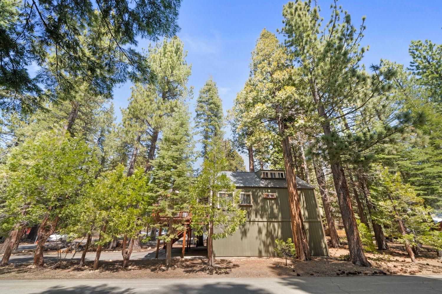 3rd Avenue, Tahoma, California image 4