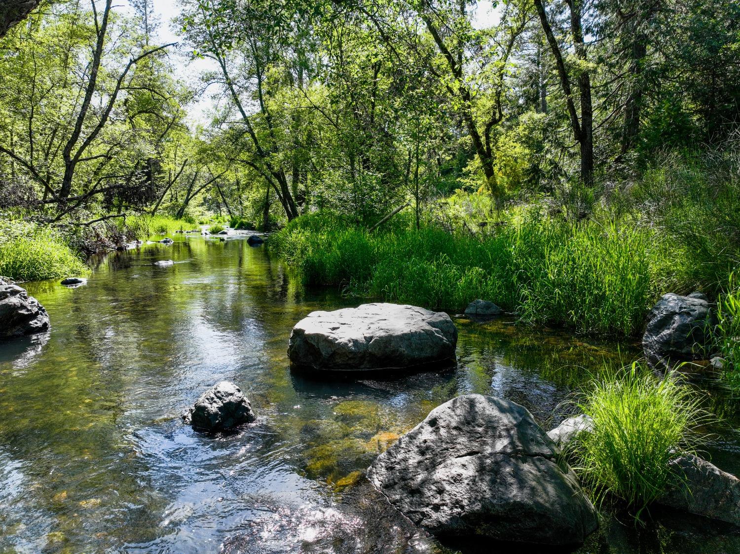 Tom Ray Dr, Grass Valley, California image 39