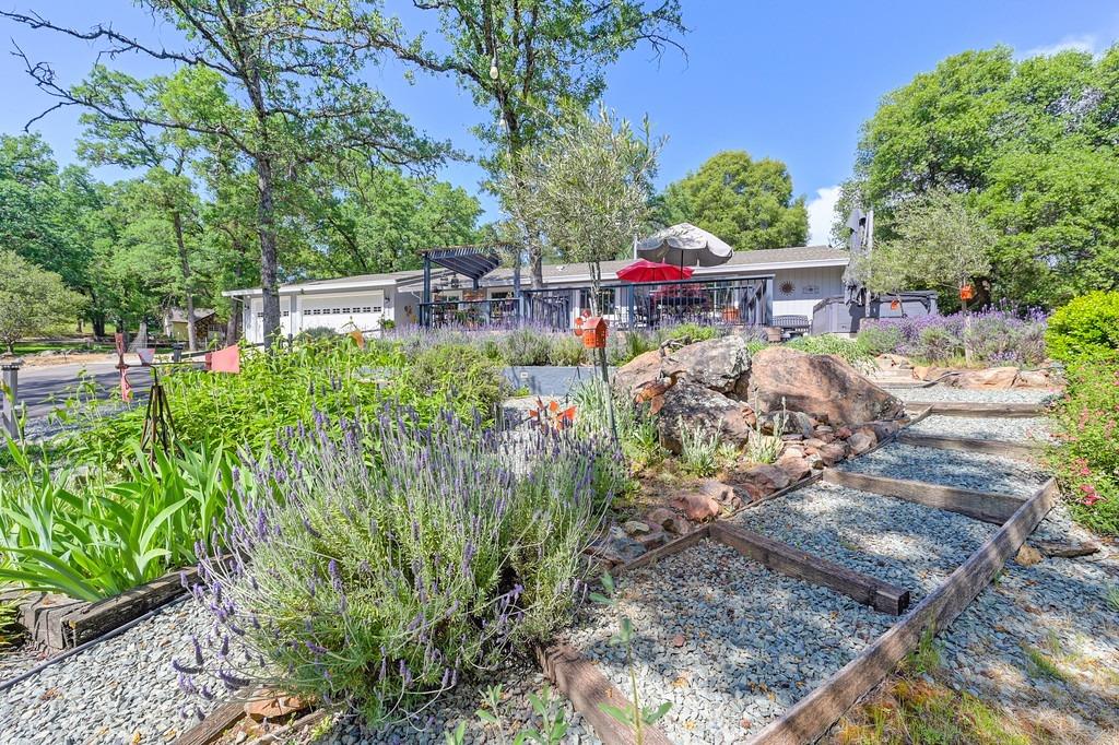 Detail Gallery Image 5 of 73 For 3200 Roughwood Rd, Shingle Springs,  CA 95682 - 3 Beds | 3 Baths
