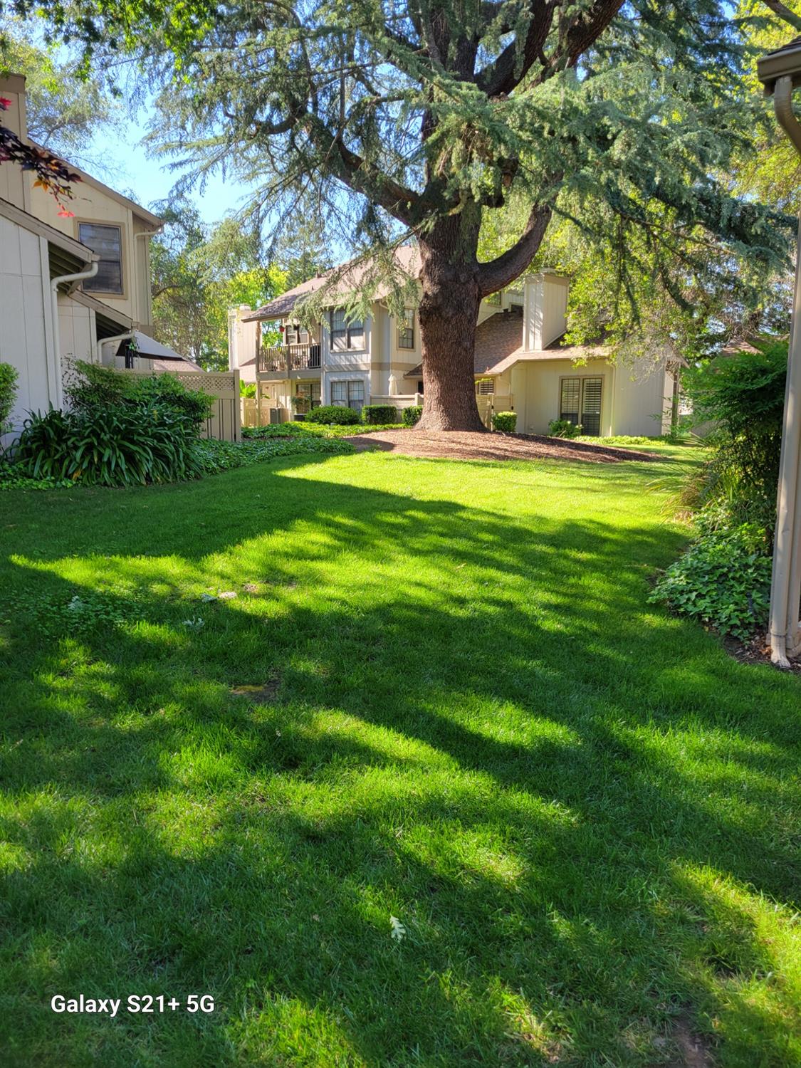 Park Circle Lane #C, Carmichael, California image 2