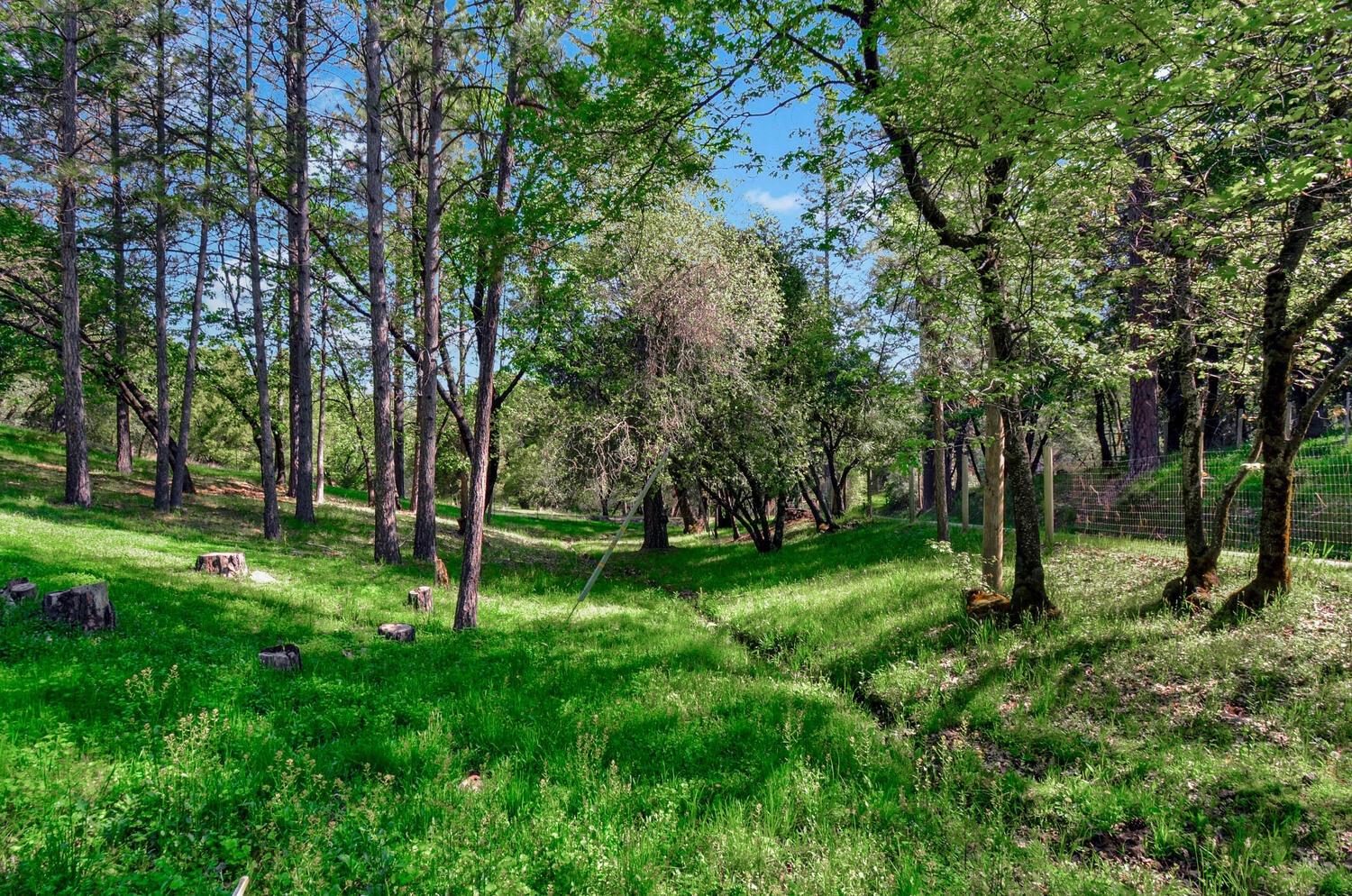 Meadow Road, Sutter Creek, California image 4