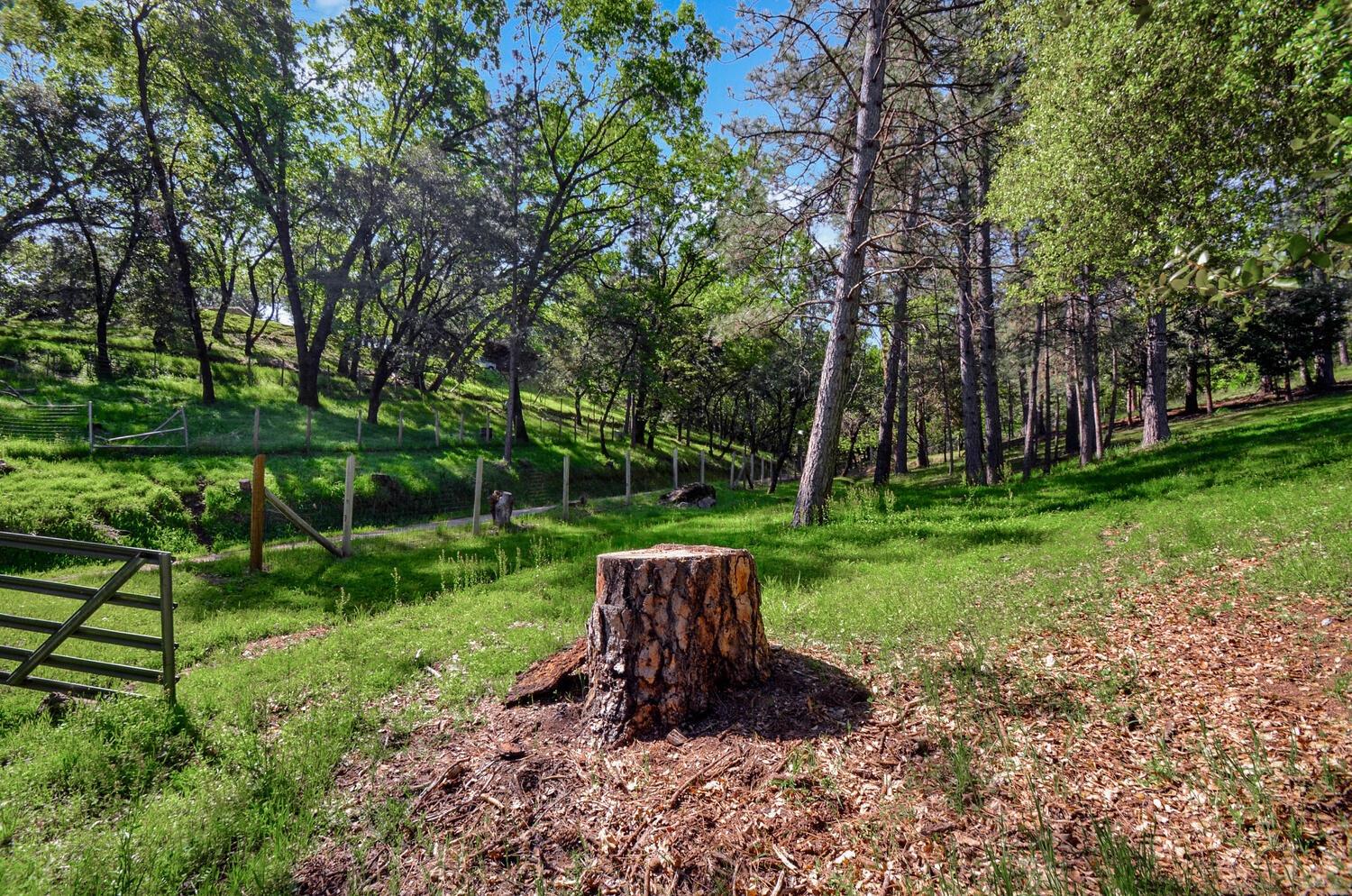 Meadow Road, Sutter Creek, California image 44