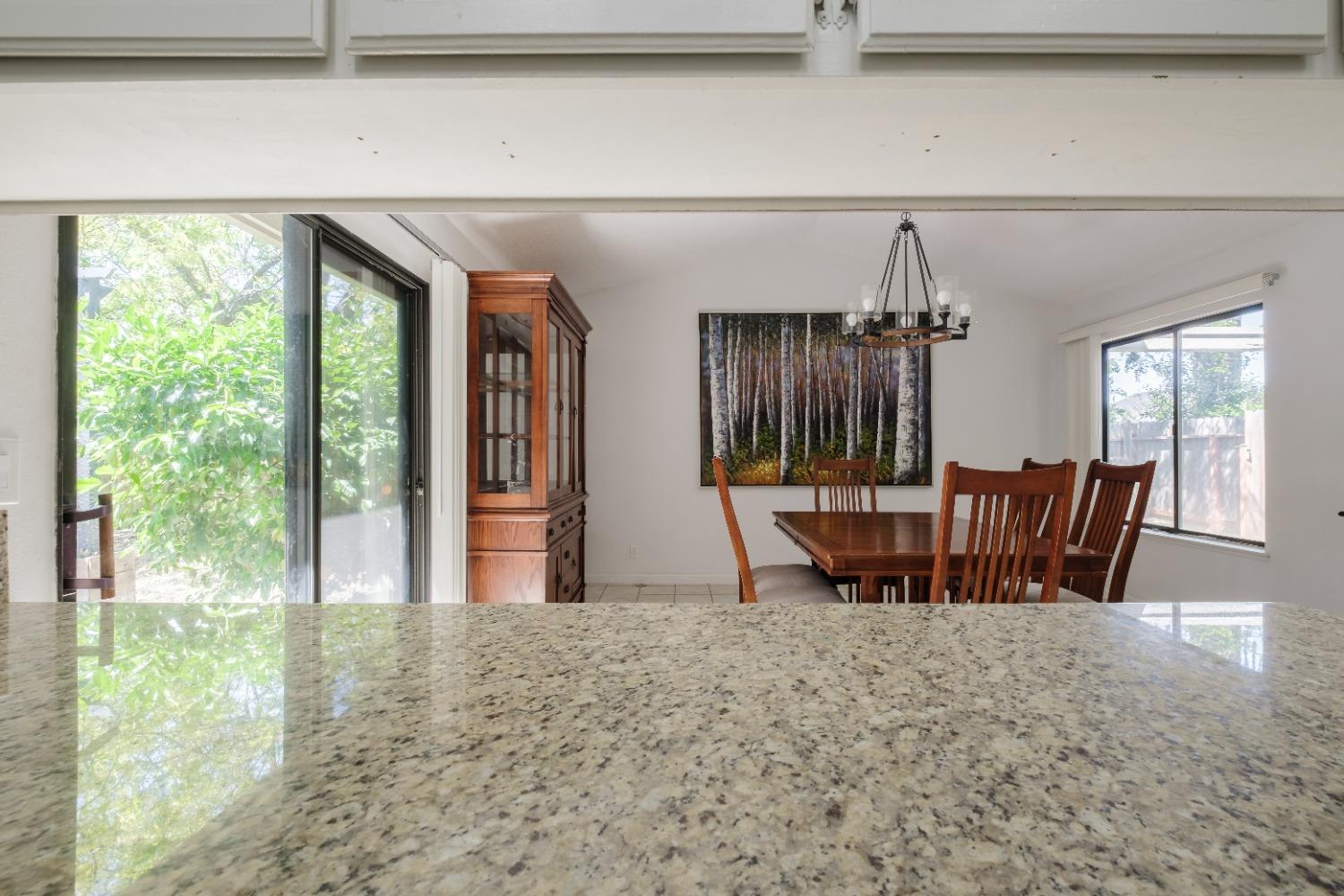 Platte River Court, Rancho Cordova, California image 40