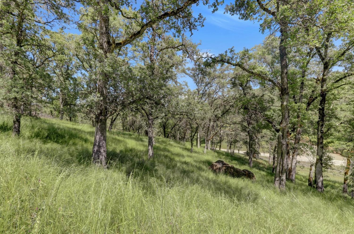 Retherford Road, Grass Valley, California image 39